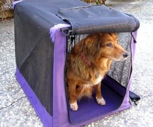 🥇10 Best Dog Travel Crates to Buy in (November 2024) - Buyer’s Guide