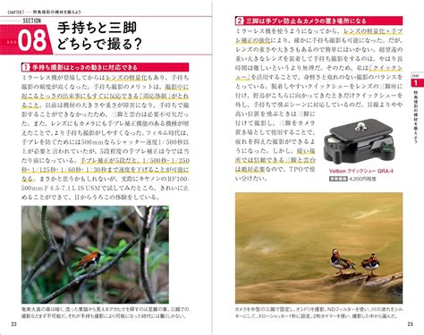 野鳥撮影入門＆実践ハンドブック 現地で役立つノウハウ69 Hobbys World｜野鳥撮影やバードウォッチングの専門店