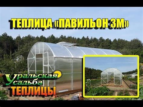 ТЕПЛИЦА ПАВИЛЬОН 3М. АВТОМАТИЧЕСКОЕ ПРОВЕТРИВАНИЕ ТЕПЛИЦЫ - YouTube