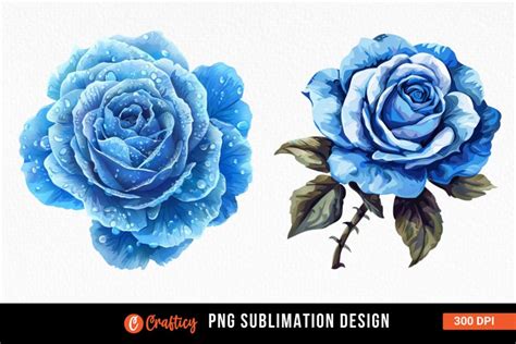 Watercolor Blue Rose Clipart