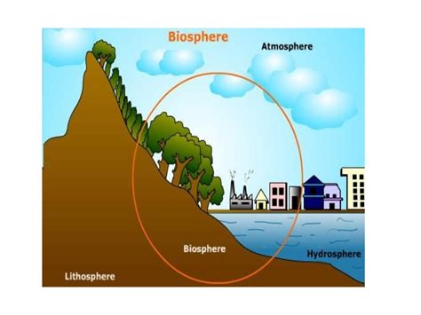 Biosphere