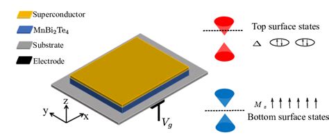 A Mnbi Te Thin Film Is Coupled To A S Wave Sc On The Top Surface The