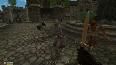 Elder Scrolls Oblivion Pc Mods Naked Strategiescopax