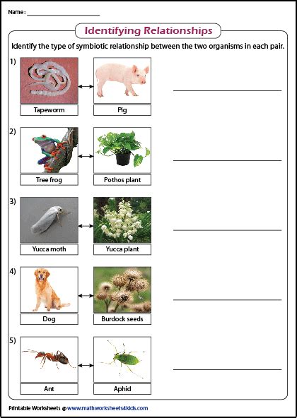 Activity For Ecological Relationship