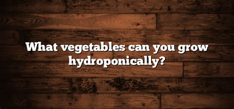 What vegetables can you grow hydroponically? - Inter Culturalu