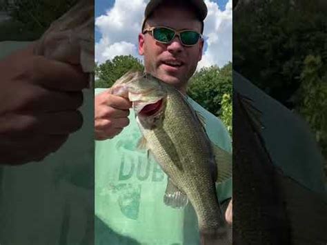 Big Ol Bass On Decade Old Crank Baits First Cast Cross Creek Tn