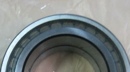 Cylindrical Roller Bearing Sl Pp Nr Sl Ppnr Bearing