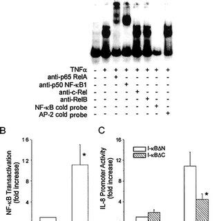 Role Of Nf B In Tnf Induced Transcription From The Il Promoter A