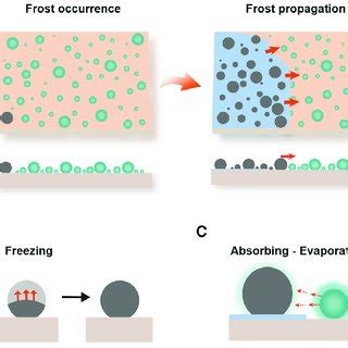 Schematic Representation Of The Whole Process Of Condensation Frosting