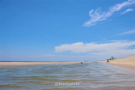 Maric Lagomar Encanta Banhistas Na Praia De Cordeirinho Maric Info