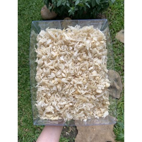 Jual SARANG BURUNG WALET BIRDNEST 100 GR KAKI Shopee Indonesia