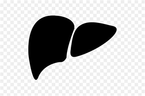 Liver Icon