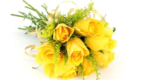 Yellow rose bouquet isolated on white with ribbon - Savvy Tokyo