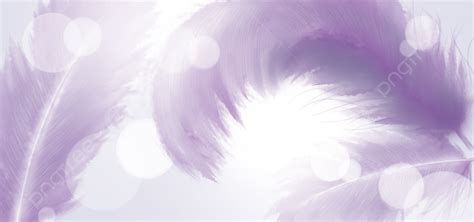 Soft Light Purple Feather Background Feather Light Purple Soft