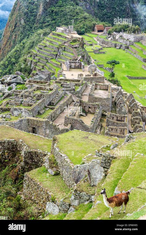 Ruinas incas machu picchu peru fotografías e imágenes de alta