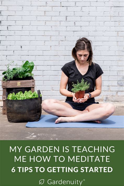 My Garden Is Teaching Me How To Meditate In 2020 Meditation Plant