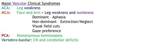 Cerebrovascular Disease Flashcards Quizlet