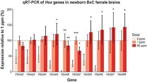 Qrt Pcr Of Hox Genes In Newborn B × C Female Brains Exposed Maternally