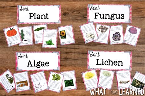 Structure and Function: How Organisms Live, Behave, Reproduce, and Grow