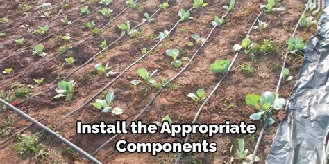 How To Design A Irrigation System 10 Easy Steps 2025