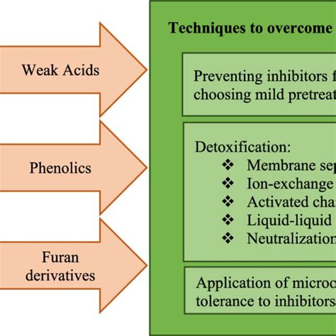 Advantages And Disadvantages Of Various Pretreatment Methods