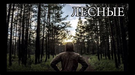 БЕЗ СНАРЯЖЕНИЯ В ЛЕСУ | простое и сложное выживание - YouTube
