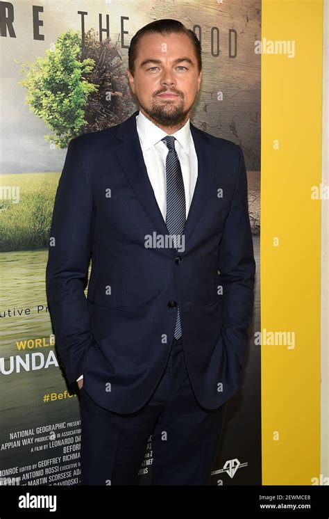 LOS ANGELES CA OCTOBER 24 Leonardo DiCaprio Attends National