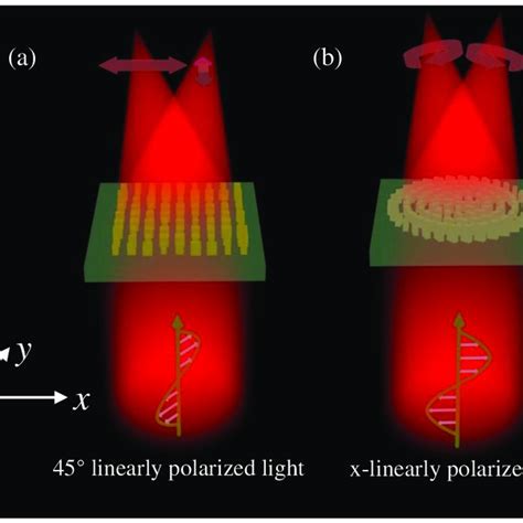 Schematic Of The A Orthogonal Linear Polarization Multiplexing