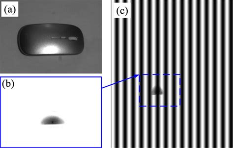 Adaptive Projection Fringe A A Mouse To Be Measured B Adaptive