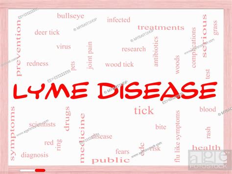 Lyme Disease Word Cloud Concept On A Whiteboard With Great Terms Such