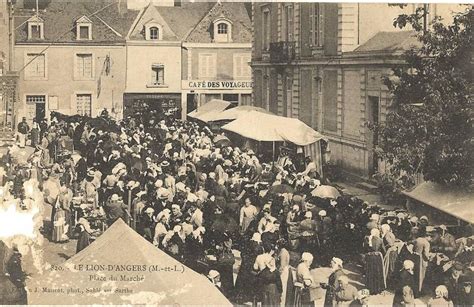 Mairie Du Lion D Angers Et Sa Commune