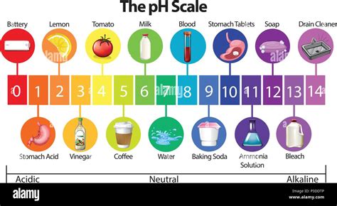 An Education Poster Of Ph Scale Illustration Stock Vector Image And Art