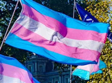 Día Internacional De La Memoria Trans Por Qué Se Celebra El 20 De