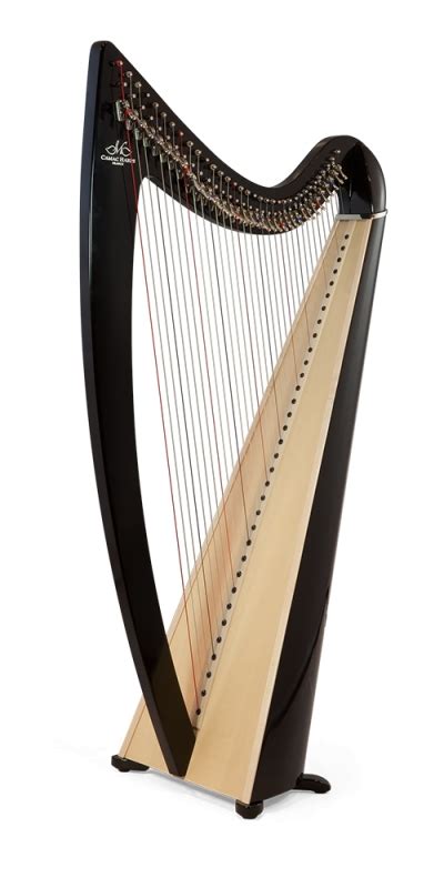 Ulysse Camac Pacific Atlantic Harps