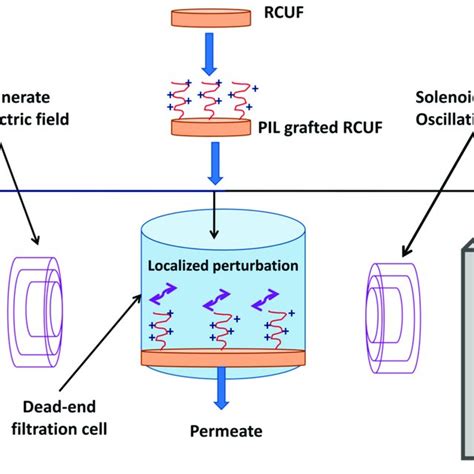 Schematic Presentation Of Dead End Filtration Set Up For Electric Download Scientific Diagram