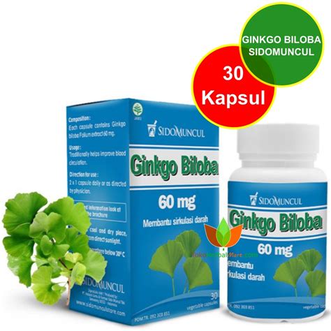 Jual 30 KAPSUL GINKGO BILOBA SIDOMUNCUL OBAT PELUPA SUPLEMEN HERBAL