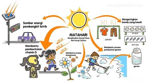 Apasih Manfaat Matahari Bagi Kehidupan Manusia