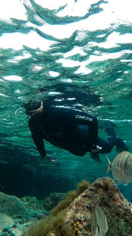 Ruta Guiada De Snorkel Las Palmas De Gran Canaria RocRoi