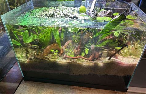 How to DIY Your Own Glass Aquarium - hygger