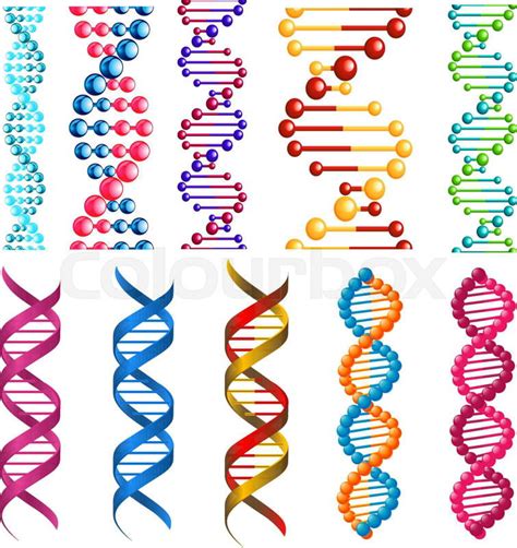 Colorful Dna Molecules Showing The Helical Structure Or Twisted Spiral