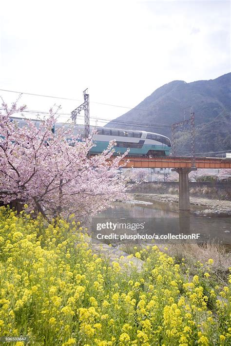 Super View Odoriko High Res Stock Photo Getty Images