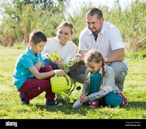 Plantando