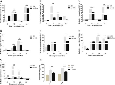 Expression Of Cytokines And Chemokines In Mature Chicken BM DCs 6 12