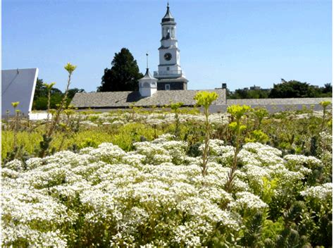 William Penn Charter School - Greenroofs.com