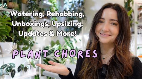 Let S Do Some Plant Chores Plus Unboxings New Plant 1 Hour Long