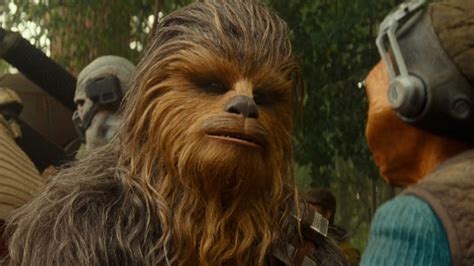 Who Played Chewbacca In Star Wars And Which Animals Were Used In His