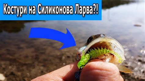КОСТУРИ на СИЛИКОНОВА ЛАРВА?! | Риболов на костур и каракуда - YouTube