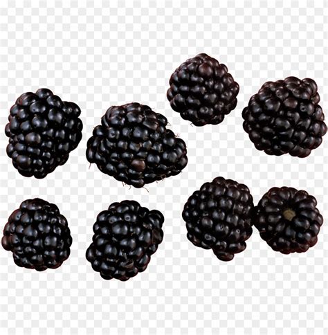 Blackberry PNG Images With Transparent Backgrounds Image ID 11524