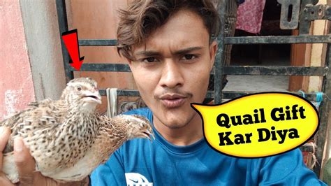 Quail T Kar Diya 🥰 Pets Vlog Youtube