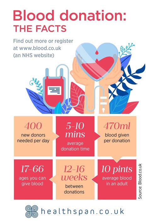 Blood Donation The Facts Artofit